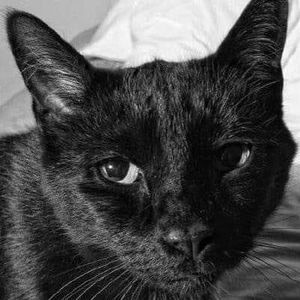 Meet your Posher, Deb